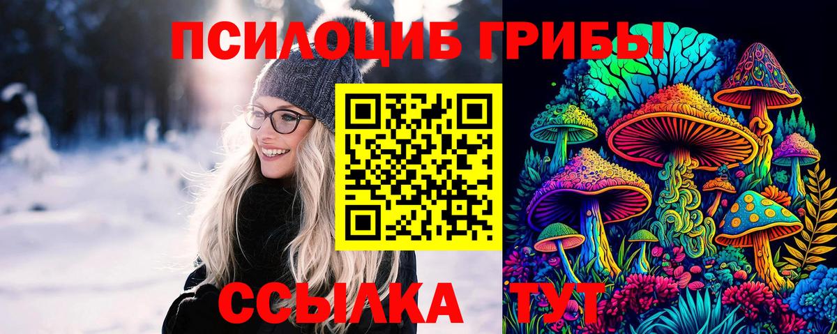 Саранск  Псилоцибиновые грибы Psilocybine cubensis  Вход с VPN 