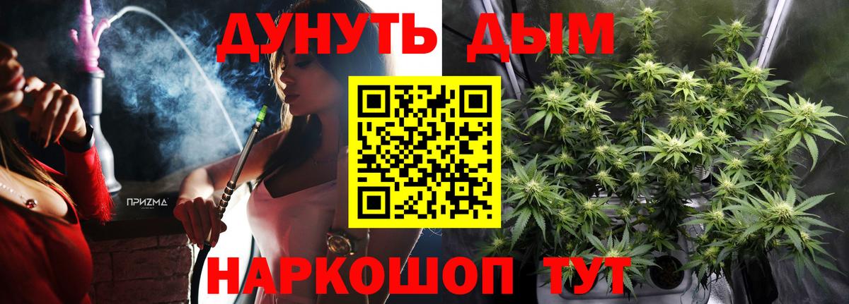 Каннабис сатива Саранск